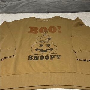 American Eagle Outfitters Tan Sweatshirt